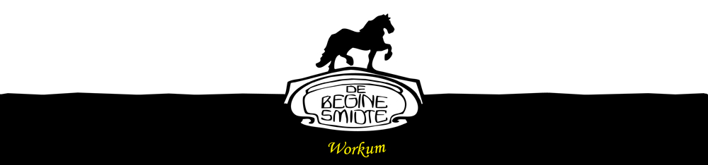 logo begine smidte workum